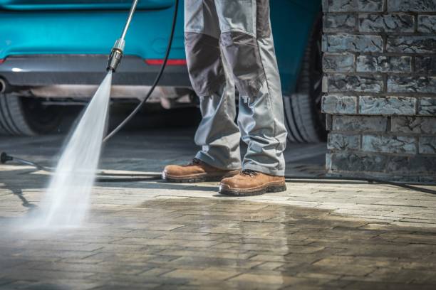 Best Residential Exterior Washing  in Chatfield, MN
