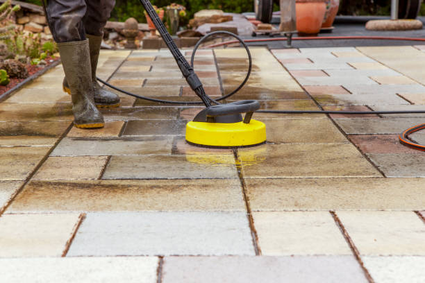 Best Spring Cleaning  in Chatfield, MN