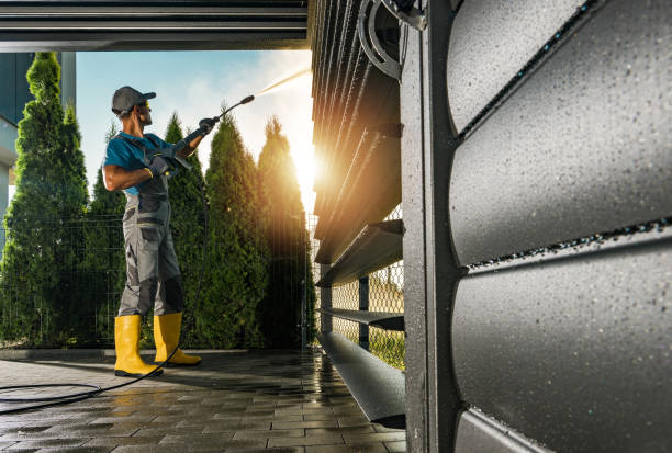 Best Driveway Pressure Washing  in Chatfield, MN